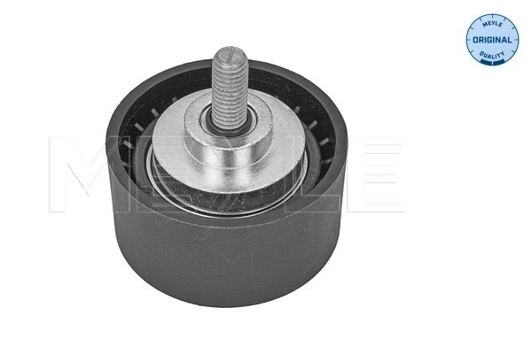 Rolo parasita da correia de transmissão para BMW 3  E90