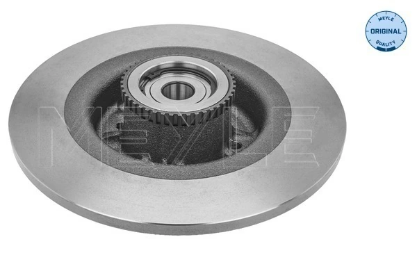  Disco do freio traseiro Renault Scenic I monovolume (JA0, JA1, FA0) (1999 - 2003) I