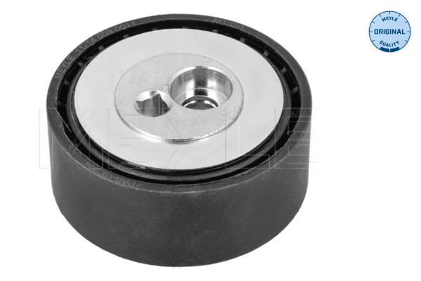 Rolo parasita da correia de transmissão para Peugeot 306  7A