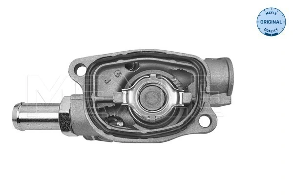 TE0366 Magneti Marelli Termostato