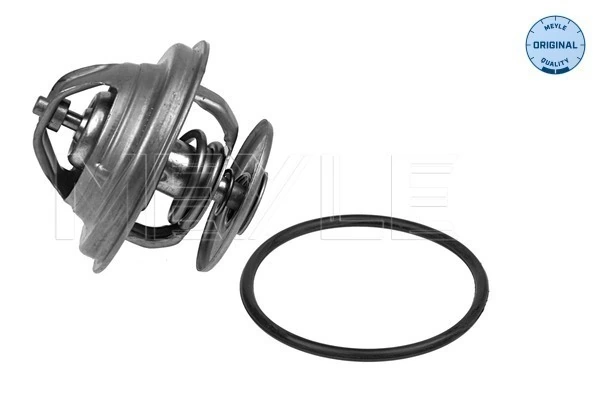 0042038475 Mercedes Termostato