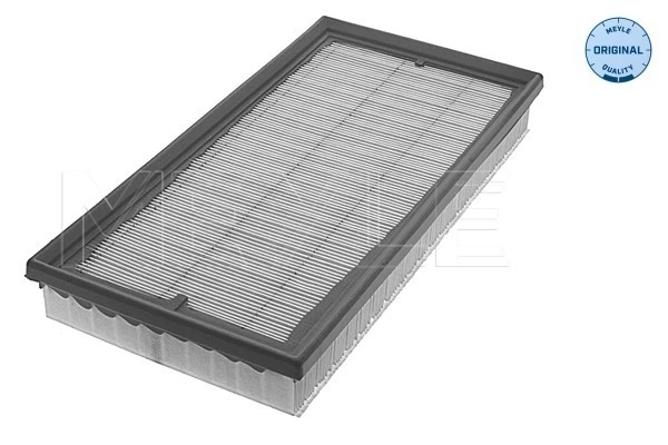 12337780 General Motors Filtro de ar