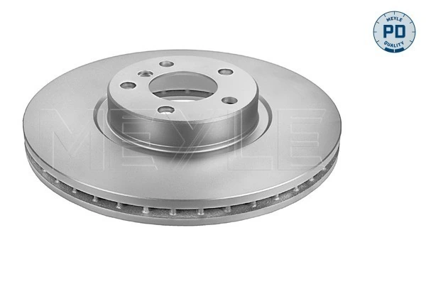  Disco do freio dianteiro BMW X5 SUV (E70) (2007 - 2013) 