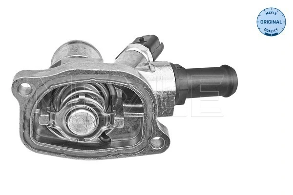 Compre THF021 Dolz Termostato