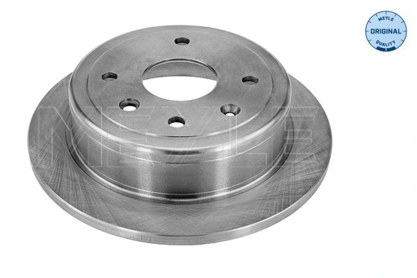  Disco do freio traseiro Chevrolet Aveo II sedan (T250, T255) (2005 - 2011) II
