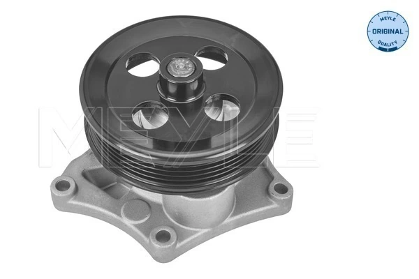 25204308 Peugeot/Citroen Bomba de água (bomba) de esfriamento