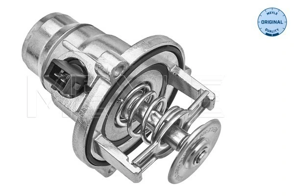 Termostato BMW X5  G05, F95