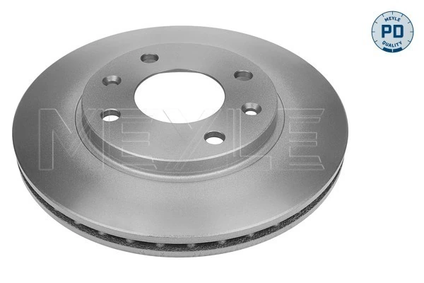 Disco do freio dianteiro para Citroen ZX  N2