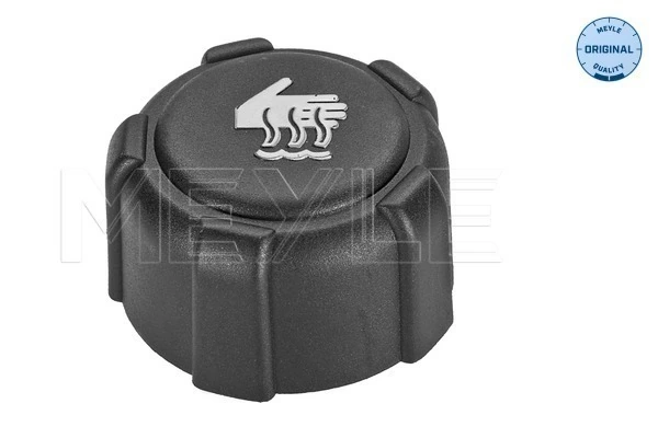Compre Tampa (tampão) do tanque de expansão Renault Master 2