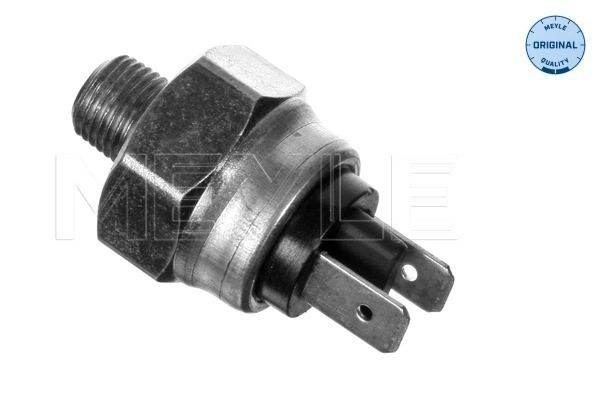 1820050271 Hanomag Sensor de ativação do sinal de parada