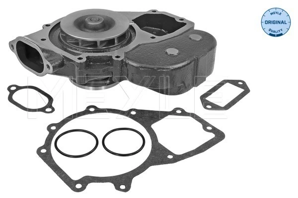 Bomba de água (bomba) de esfriamento Renault (RVI) 51065006408 preço, a partir de 122,02 USD