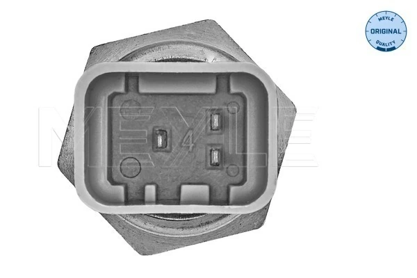 295146 EFI Sensor de temperatura do fluido de esfriamento
