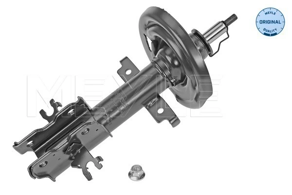 Amortecedor dianteiro Renault Laguna III KT0, KT1