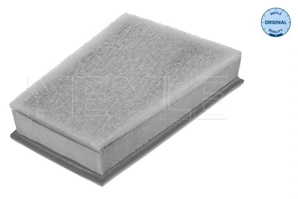 AF251 Maxgear Filtro de ar