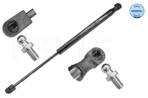 Amortecedor de tampa de porta-malas (de 3ª/5ª porta traseira) para Dacia Duster  HS