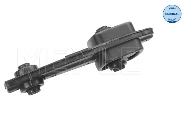 Coxim (suporte) traseiro de motor para Citroen C2  JM