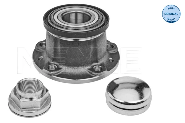  Cubo traseiro Citroen Jumper сaixa (250) (2006 - 2026) 
