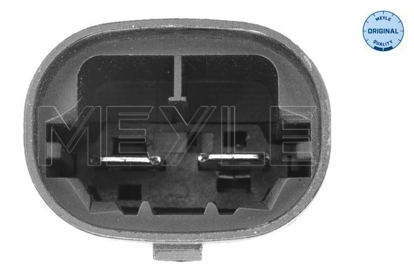 Ventilador elétrico de esfriamento montado (motor + roda de aletas) Peugeot 307  3A, 3C