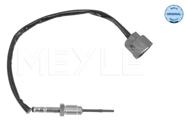 226401632R VAG Sensor de temperatura dos gases de escape (GE), antes de filtro de partículas diesel