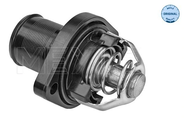 Termostato para Peugeot 307 CC 3B