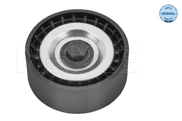 Rolo parasita da correia de transmissão para Mercedes ML/GLE  W166