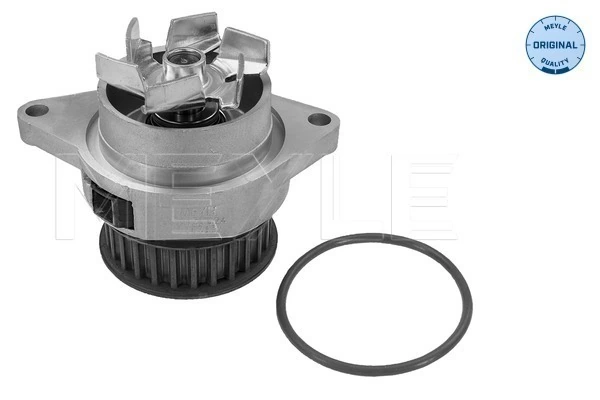 1623100280 Peugeot/Citroen Bomba de água (bomba) de esfriamento