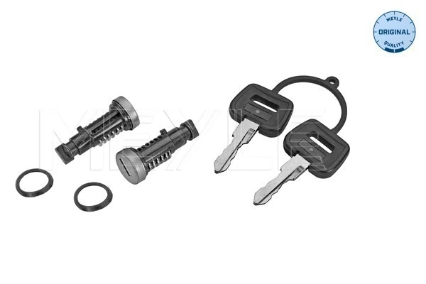 Cilindros de fecho, kit para DAF 105 XF 