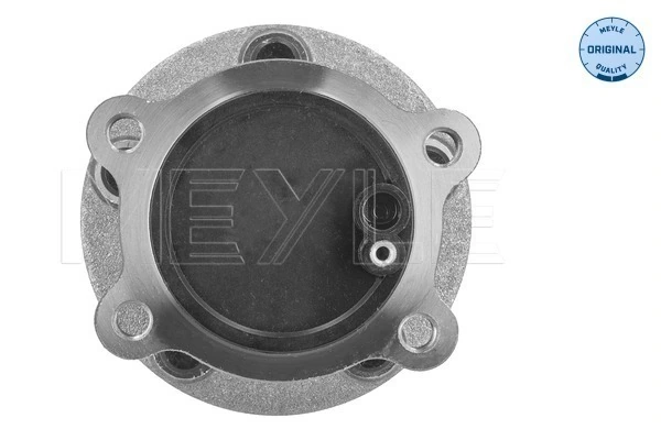 Cubo traseiro Ford Kuga II CBS