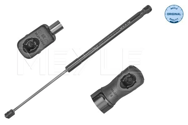 Amortecedor de tampa de porta-malas (de 3ª/5ª porta traseira) para Audi A4 Avant B8 8K5