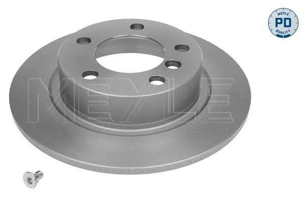 Disco do freio traseiro para Mini COUNTRYMAN  R60