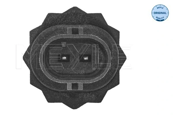 295188 EFI Sensor de temperatura de combustível