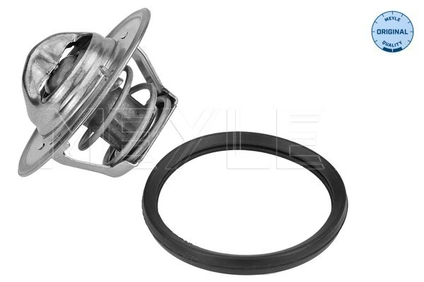 Termostato para Ford Fiesta Mk4 JAS, JBS