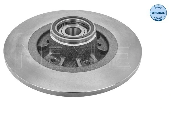  Disco do freio traseiro Renault Kangoo II сaixa (FW0) (2008 - 2021) II