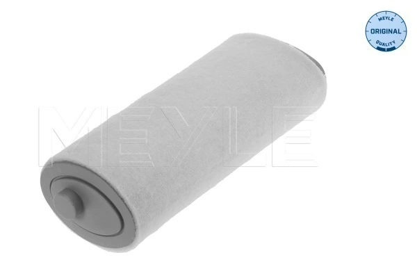 Filtro de ar para Land Rover Freelander I L314