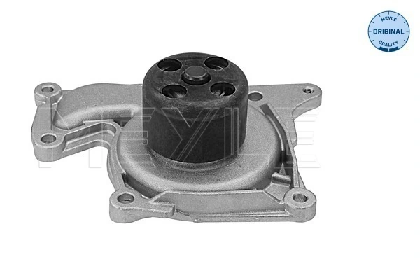 Bomba de água (bomba) de esfriamento Renault Clio III BR01, CR01