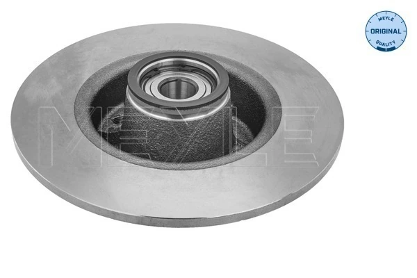  Disco do freio traseiro Renault Clio III hatchback (BR01, CR01) (2005 - 2014) III