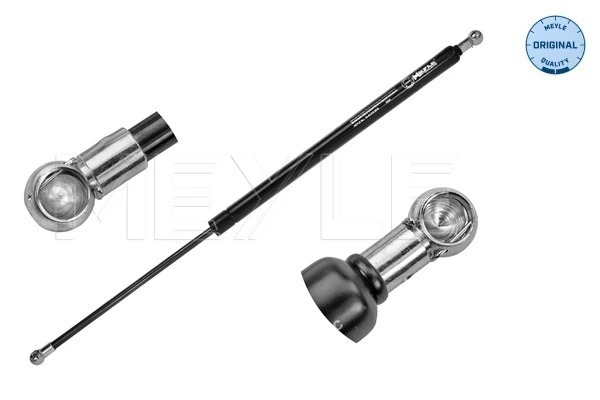 Amortecedor de tampa de porta-malas (de 3ª/5ª porta traseira) para Renault Scenic II JM0, JM1