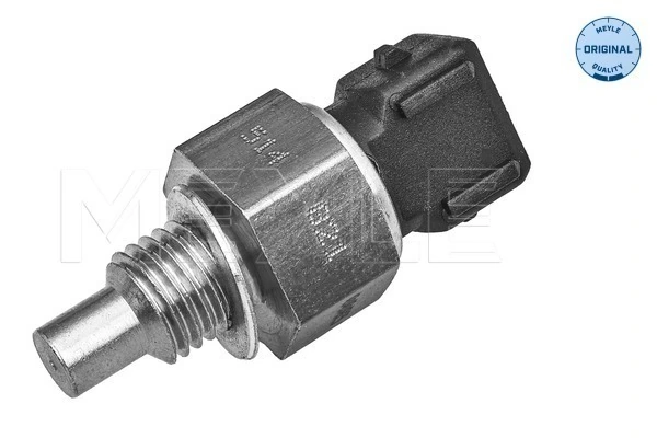 ST249 Beru Sensor de temperatura do fluido de esfriamento
