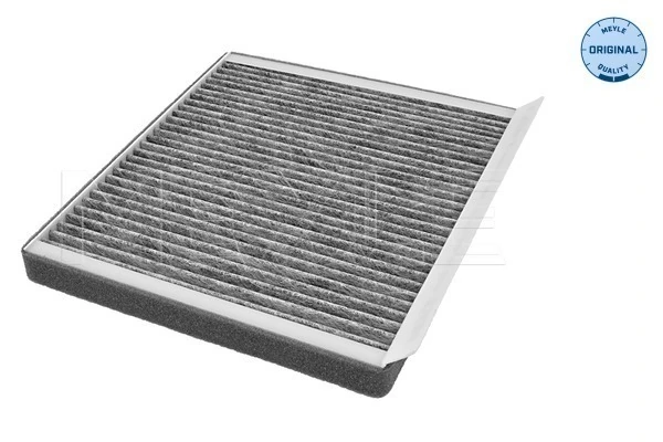 971331E100 General Motors Filtro de salão