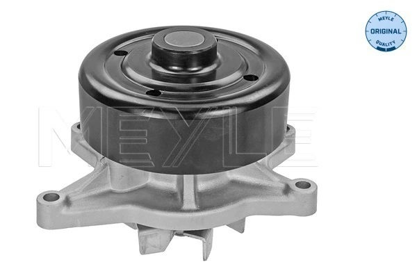 CP290000S Mahle Original Bomba de água (bomba) de esfriamento