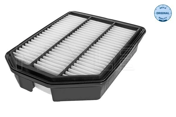Filtro de ar para KIA Carens II FG