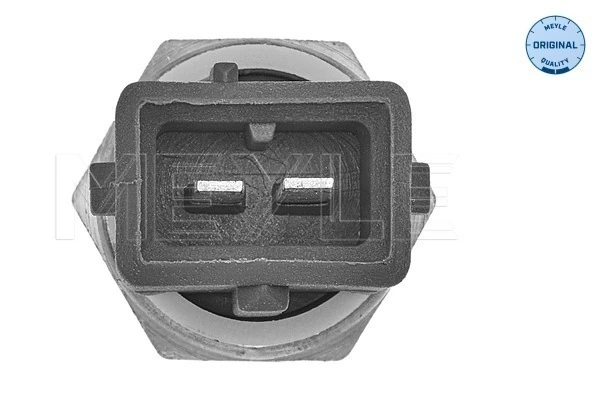 ST207 Beru Sensor de temperatura do fluido de esfriamento