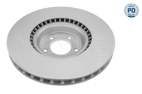 Disco do freio dianteiro para Land Rover Range Rover III L322