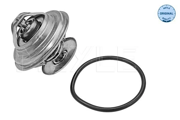 04224847 Deutz Termostato