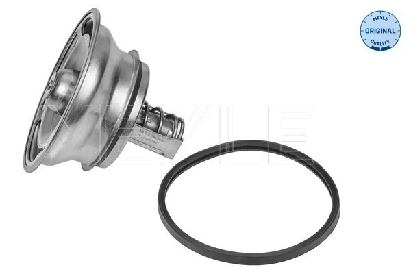 7421746213 Renault (RVI) Termostato