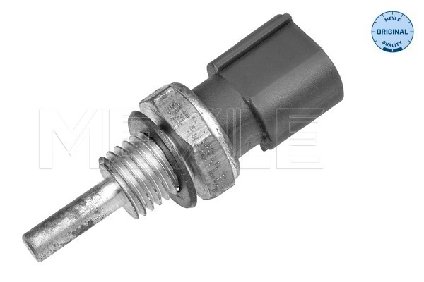 ST225 Beru Sensor de temperatura do fluido de esfriamento