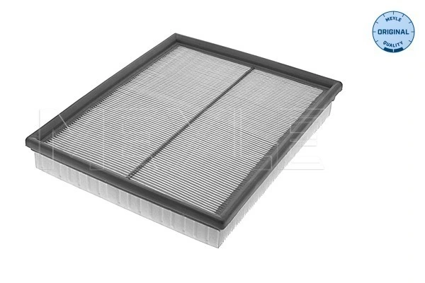 8671004479 Renault (RVI) Filtro de ar