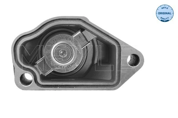  Termostato Chevrolet Captiva I SUV (C100) (2006 - 2010) I