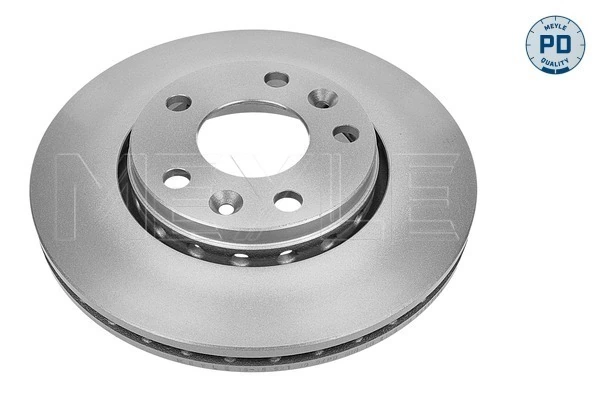 Compre Disco do freio dianteiro Renault Scenic 3
