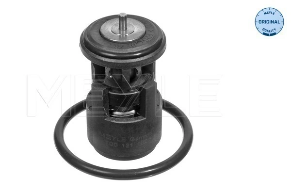 Termostato Volkswagen Polo V 6R1, 6C1